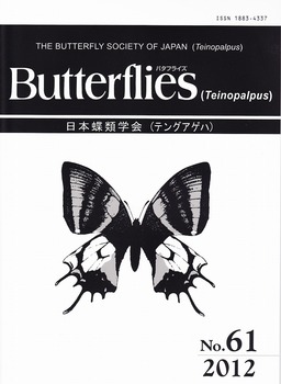 Butterflies No.61.jpg