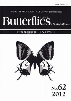 Butterflies No.62.jpg