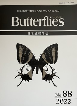 Butterflies No.88.jpeg